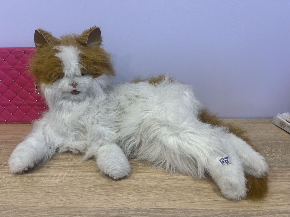 Interaktywny Kot Prudnik •