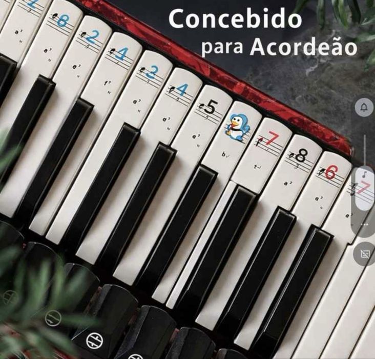 Conjunto de autocolantes educativos para teclado e botoes de acordeão, ideais para iniciantes, estudantes e professores de música.