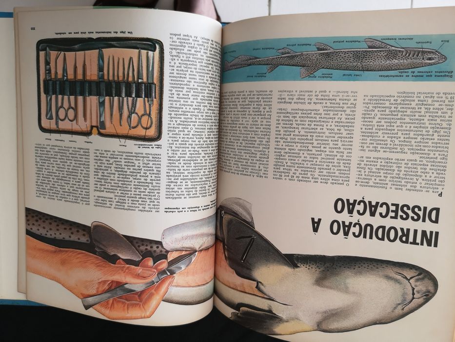 Enciclopédia de ciência e tecnologia