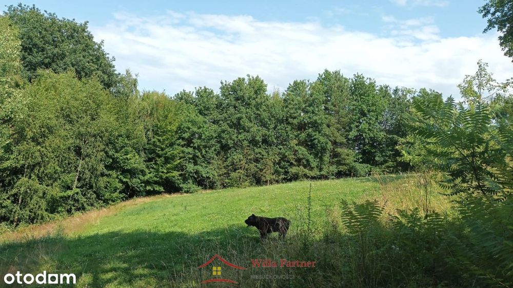 Sobolów, Wola Nieszkowska, działka 0,35ha+3a