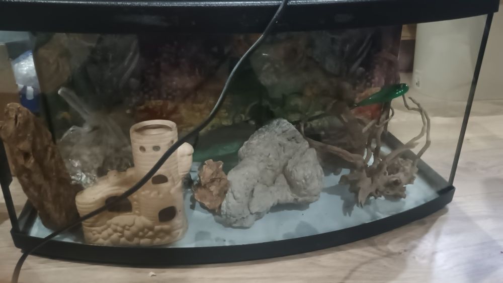 Akwarium z pokrywą, filtrem, grzałka i akcesoriami