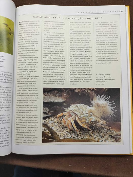 Livro " A Vida Secreta Dos Animais" (CXL1)