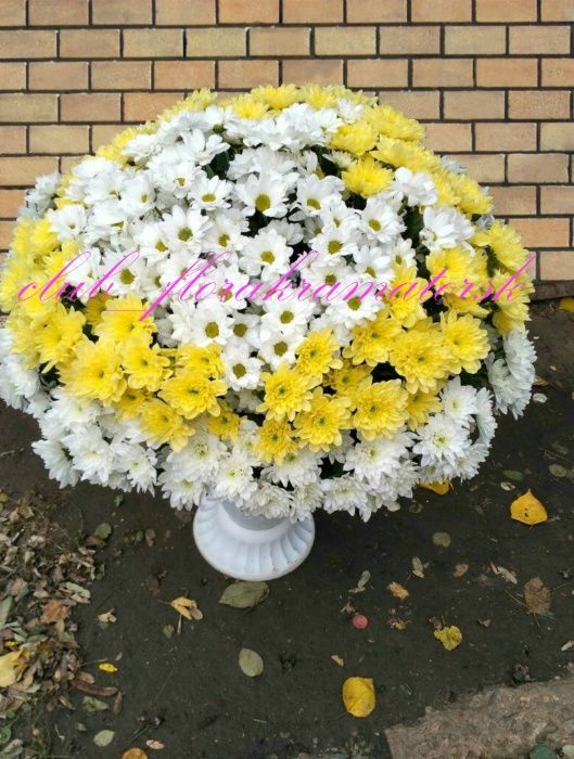 Цветы опт и розница , Квіти, Розы, троянди, Доставка квітів