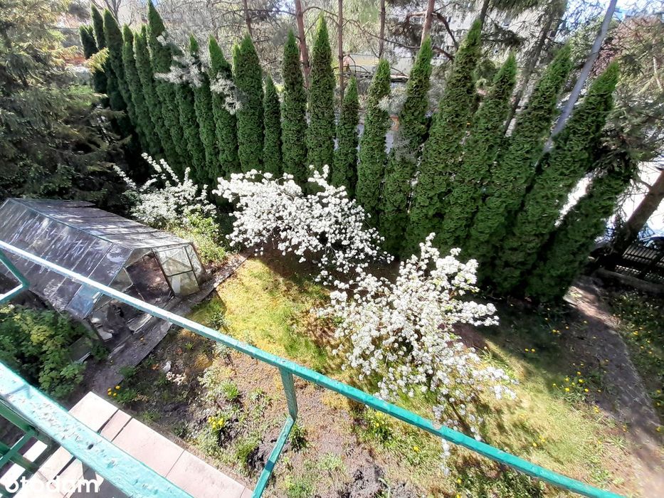 Sprzedam dom z ogrodem w centrum Chrzanowa