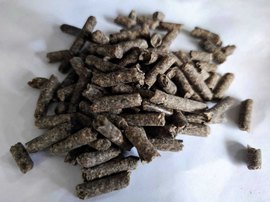 Łuska bobiku - pellet