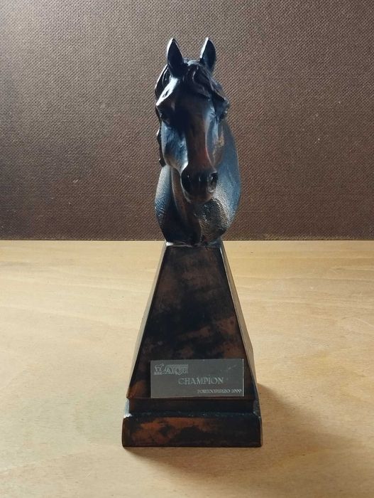 Troféu Hipsimo / Equitação / Cavalo