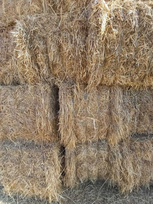 Fardos de Feno [ Azevém - Trevo Alexandrino - Trevo Persa ]