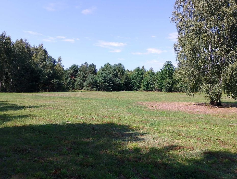 Działki budowlane po 1200 m2 z warunkami zabudowy.