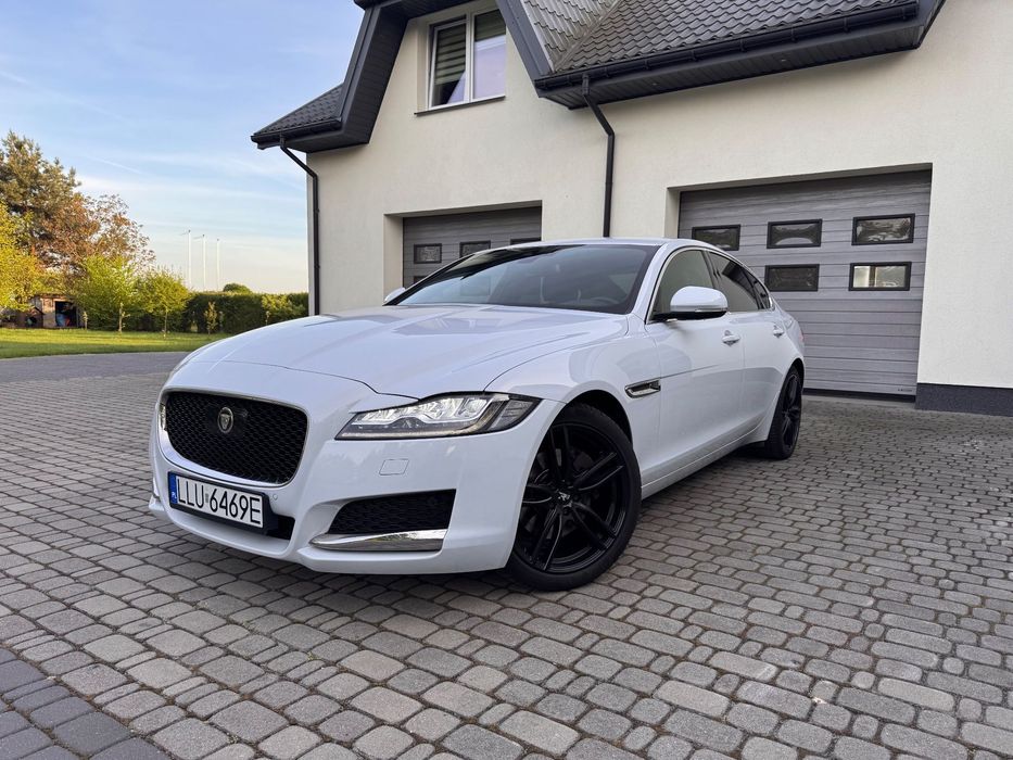 Jaguar XF Jaguar Xf 2.0D Radar Led Nowy Rozrząd