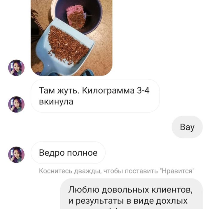 Проф травля тарганів блох клопів мишей щурів плісняви запаху грибка