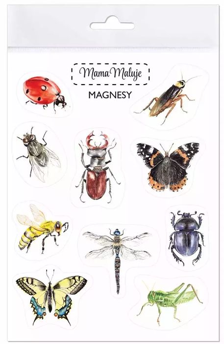 Magnesy Owady. Nowy Produkt
