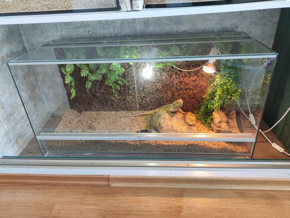 Terrarium 100x40x40