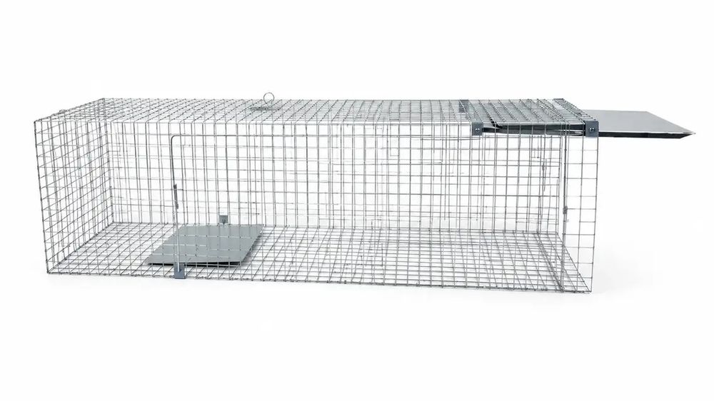 ХІТ продажу! Живоловка 120×33×37 см — надійна пастка на куниць, ласок, пацюків і котів | Надійність Зручність