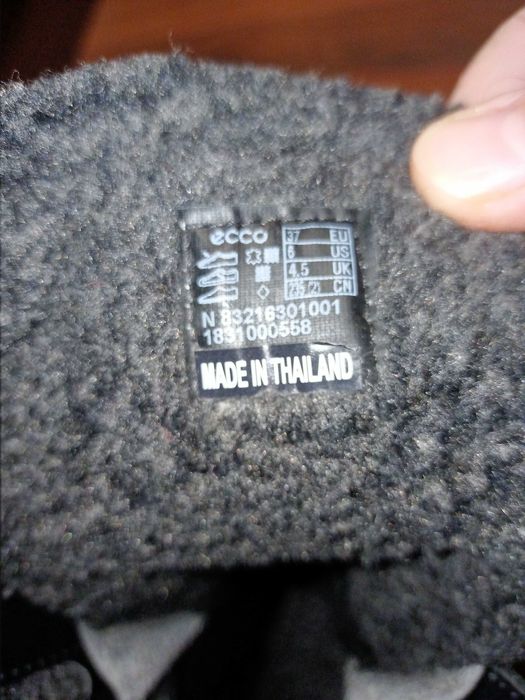 Зимові жіночі чоботи Ecco