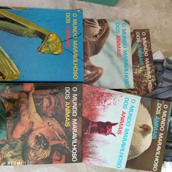 O Maravilhoso Mundo Dos Animais