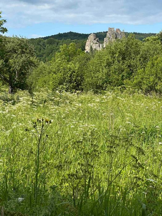 Заповідник "Тустань", продаж земельної ділянки