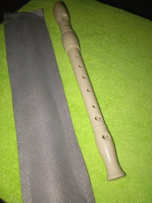Flauta escolar com bolsa
