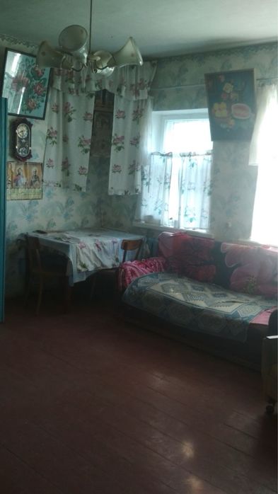 Продається будинок з великою ділянкою в мальовничому селі Чернігівщини
