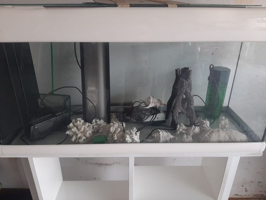 Acessórios para peixes