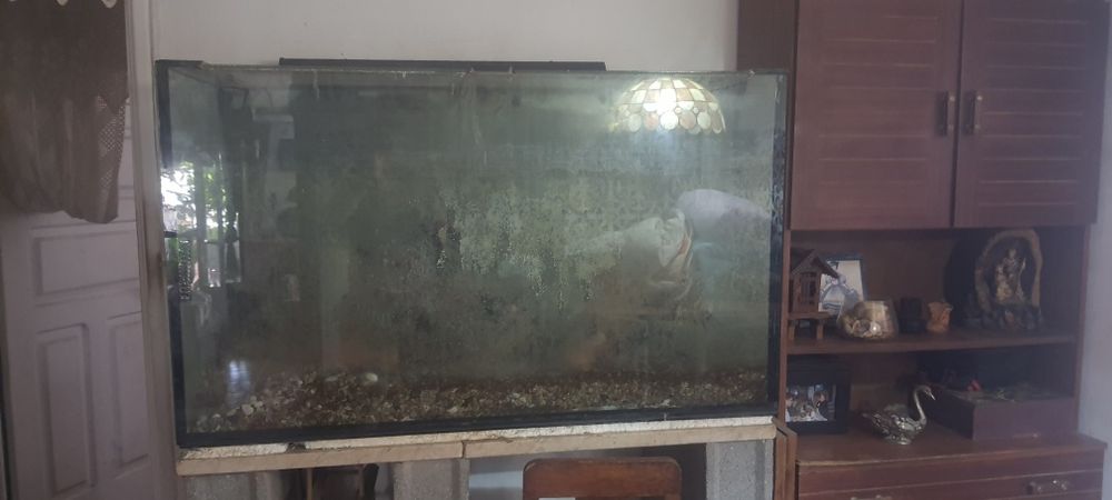 Aquários vários tamanhos 50 €