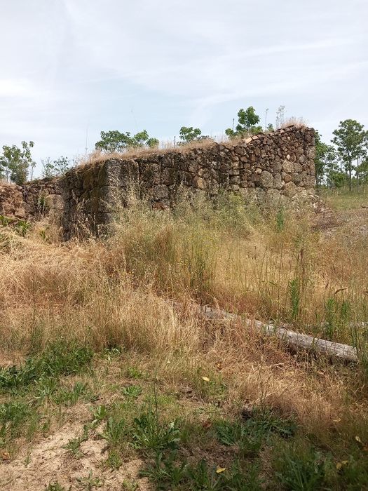 Vendo Ruina e terreno