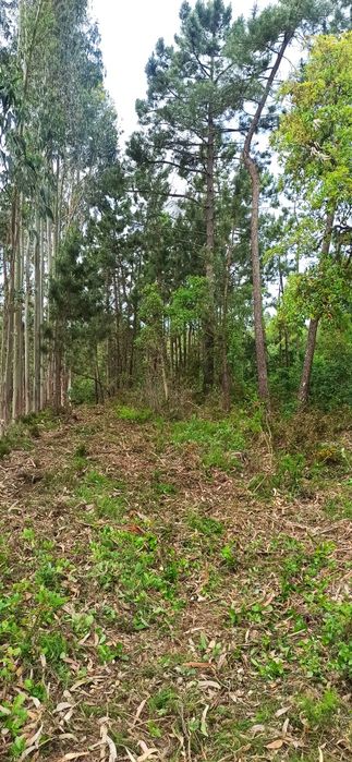 Terreno para venda / Granja do Ulmeiro