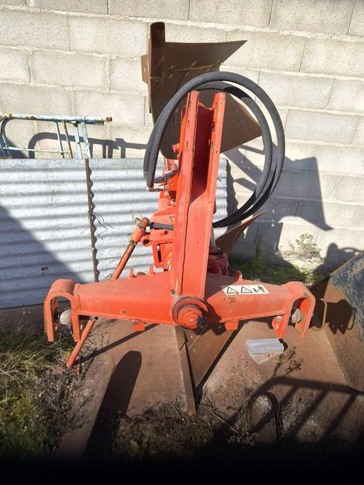 Charrua em excelente estado