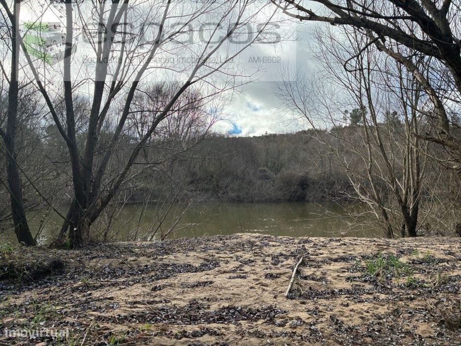Magnifica Quinta a confinar com Rio Zêzere