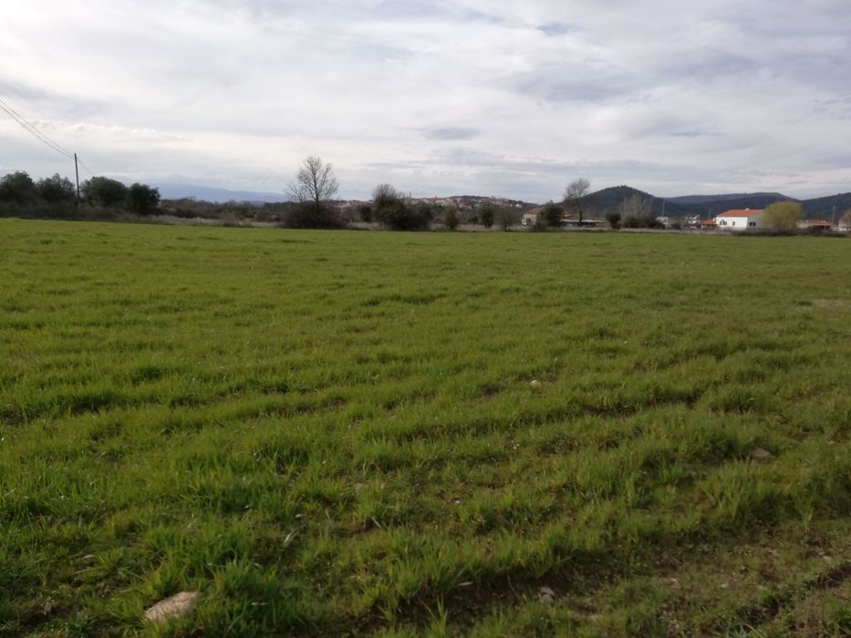 Quinta em Meimoa 9 ha