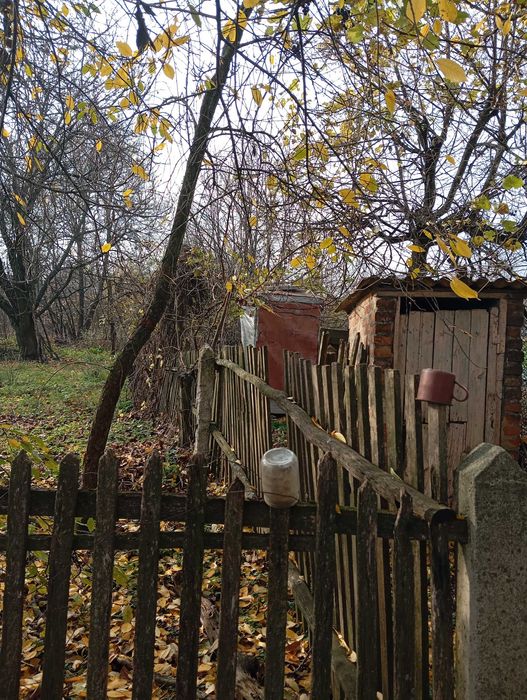 Будинок в Диканька ,опалення пічне+ газ,з енергонезалежним котлем
