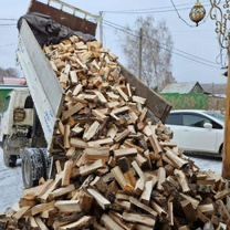 Акация,дуб,ясень,сосна,тополь