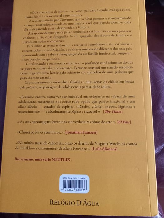 Livro A Vida Mentirosa dos Adultos⁸