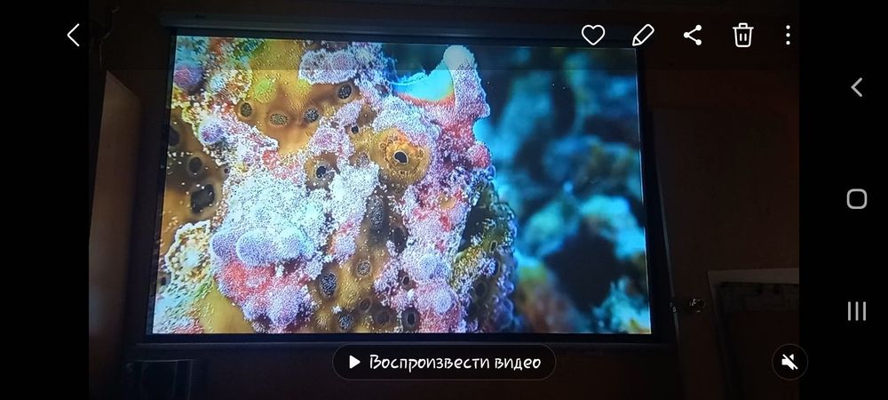 Проектор для дома  TouYinget Q10 Basic