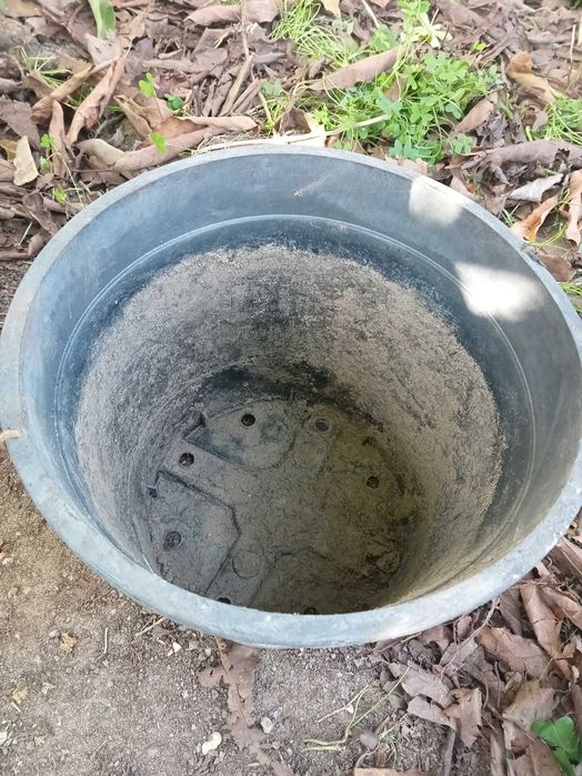 Vasos de plantas