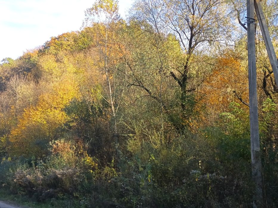 Земельна ділянка в Лісі в районні комплекса The Selo Коростувата