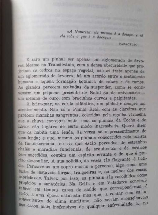 Os Meninos de Ouro - Agustina Bessa-Luís