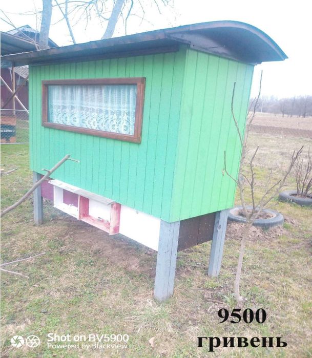 Продаються вулики