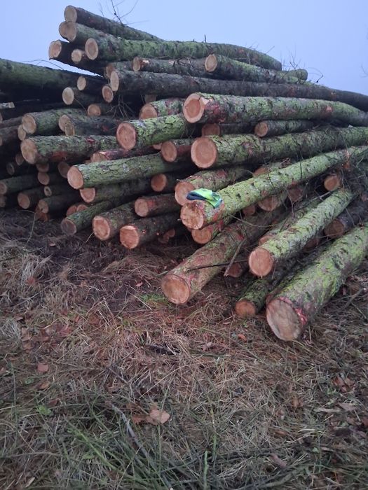 Drewno konstrukcyjne i opałowe