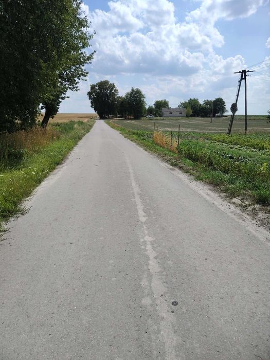 Działka budowlano-rolna Majdan Brzezicki 1ha12ar