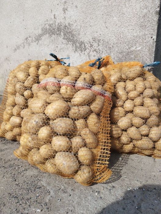 Sprzedam Ziemniaki Jadalne SORAYA 15kg  pakowane