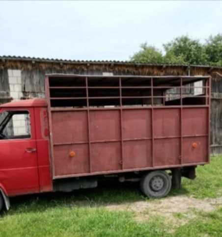 Lublin Zabudowa do przewozu zwierzat