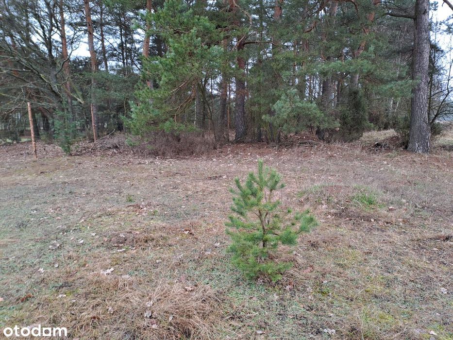 Działka budowlana 40 km od centrum Warszawy