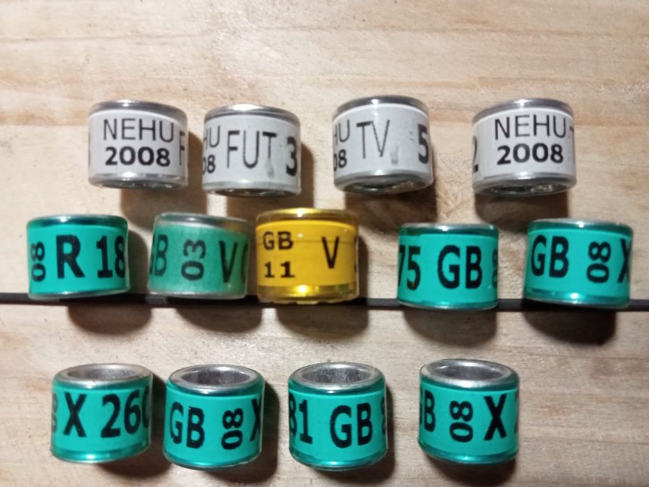 Obrączki dla gołębi GB NECHU