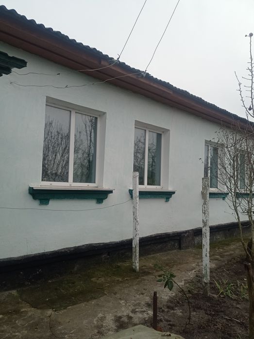 Доглянутий будинок в жилому стані недалеко від Чернігова. Село Виблі.
