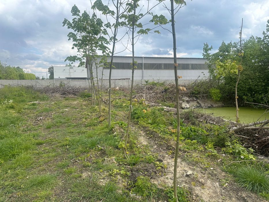 Działka inwestycyjna Opole ul. Dworska