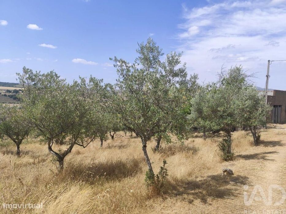 Casa T2 em Castelo Branco de 144,00 m2