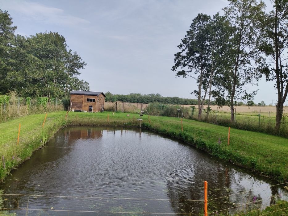 Działka rolna 3000m2 że stawkiem i domkiem pod rekreację