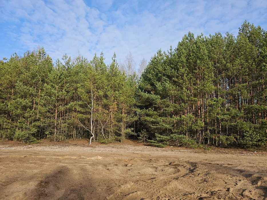 sprzedam działkę rolną