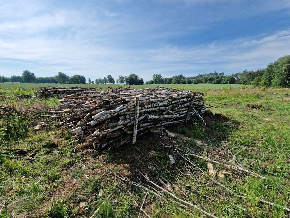 Drewno opałowe ze zrębu suche