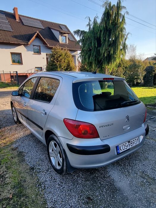 Peugeot 307,Benzyna, Krajowy,Klimatyzacja,Długie Opłaty